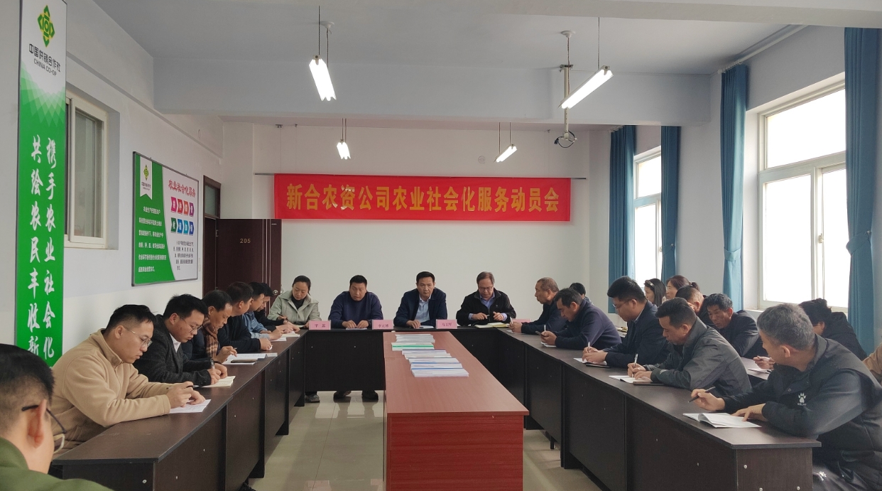 微信截图_20250327175644