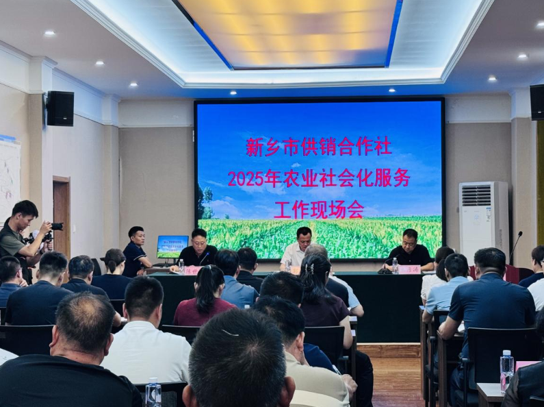 截图-2025年7月31日 16时56分12秒